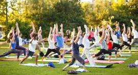 Incredible physical and mental benefits of yoga for beginners